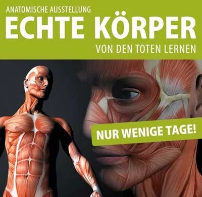 echte-koerper