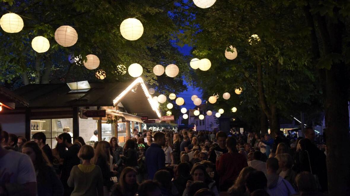 neuburger-hofgartenfest-2016-3