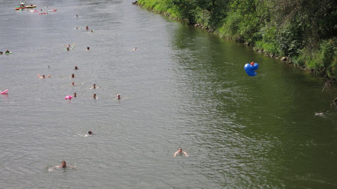 sommer-donauschwimmen-2019-4