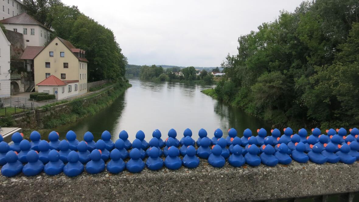 sommer-donauschwimmen-2019-27