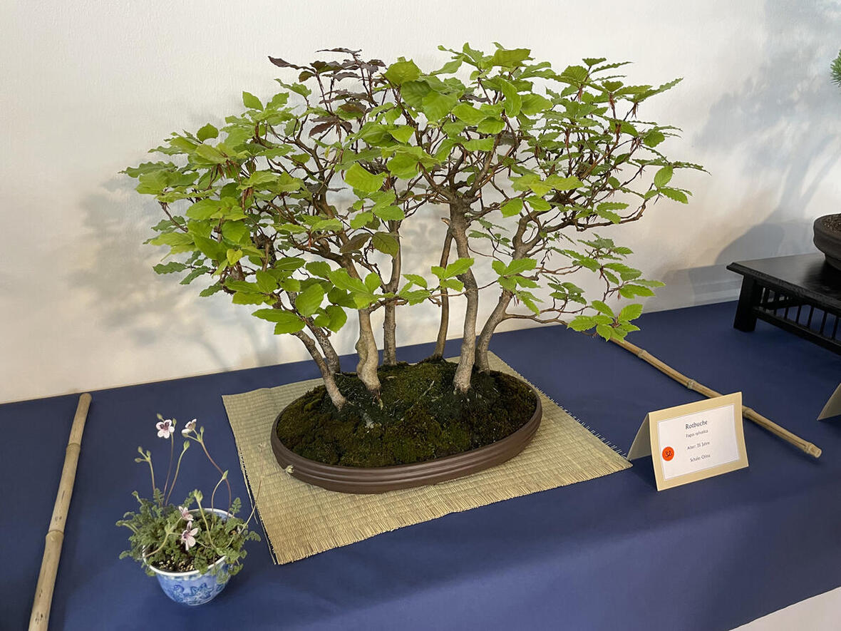 2024-04-05_10-32-18-3453_2859_1_g